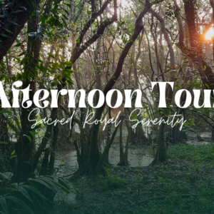 KOTTE AFTERNOON TOUR – Colombo City Tours